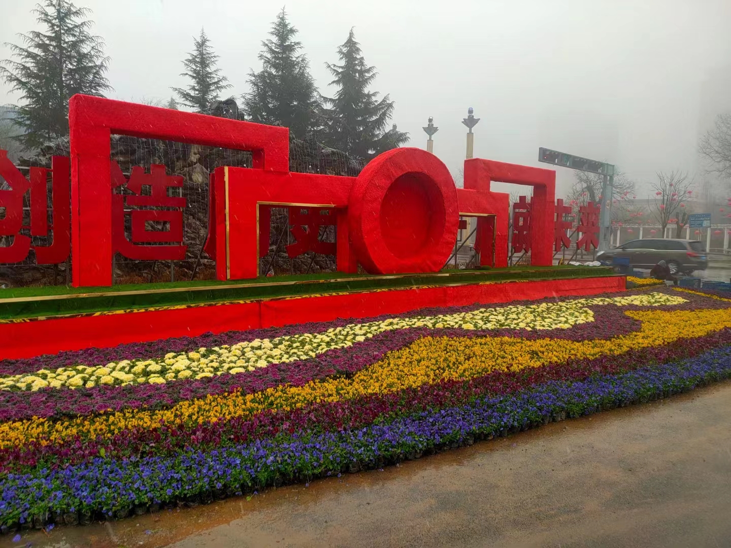 西安草花种植基地