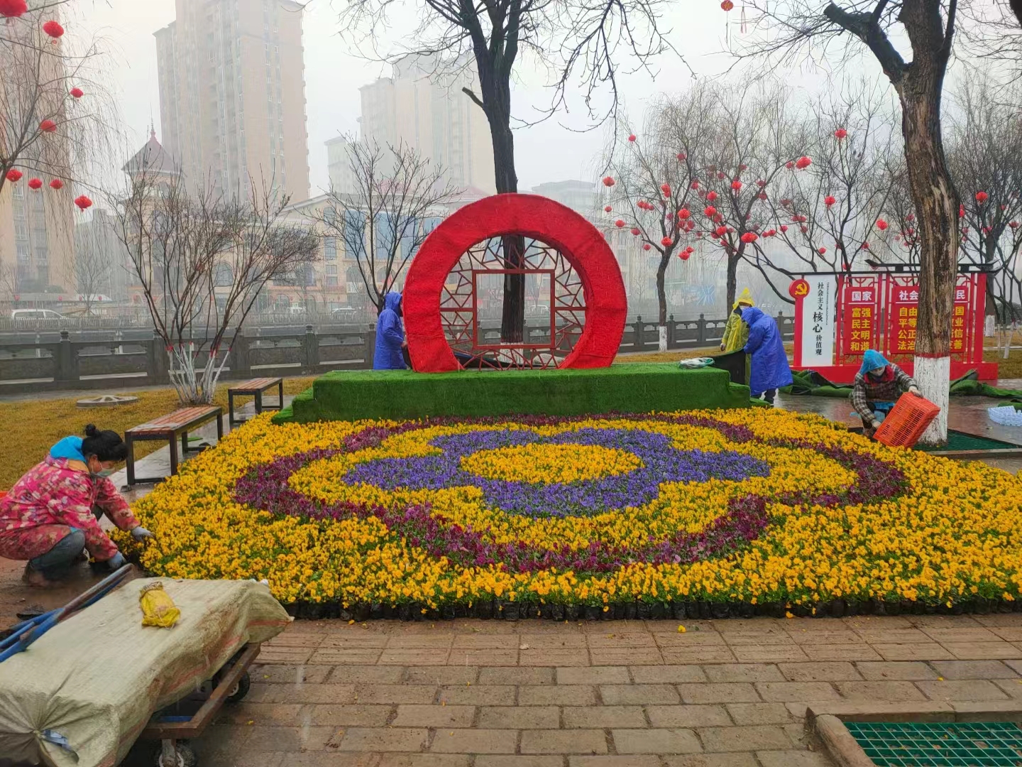 西安草花种植基地