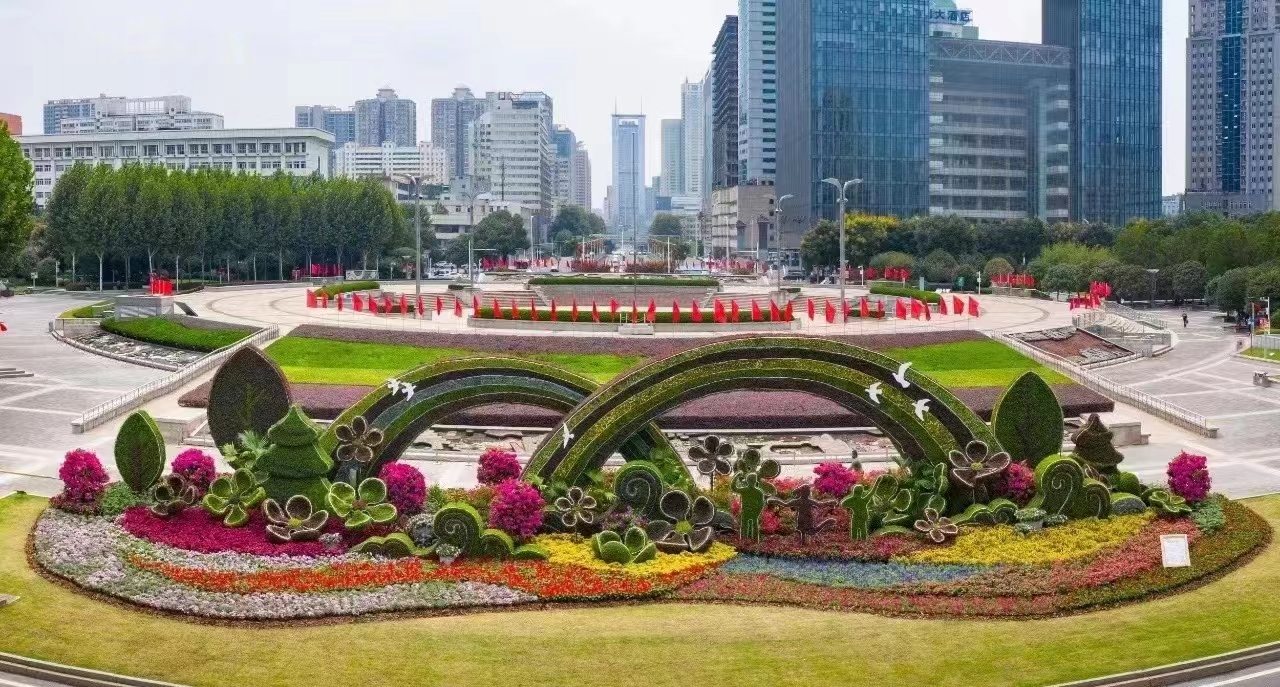 西安草花种植基地